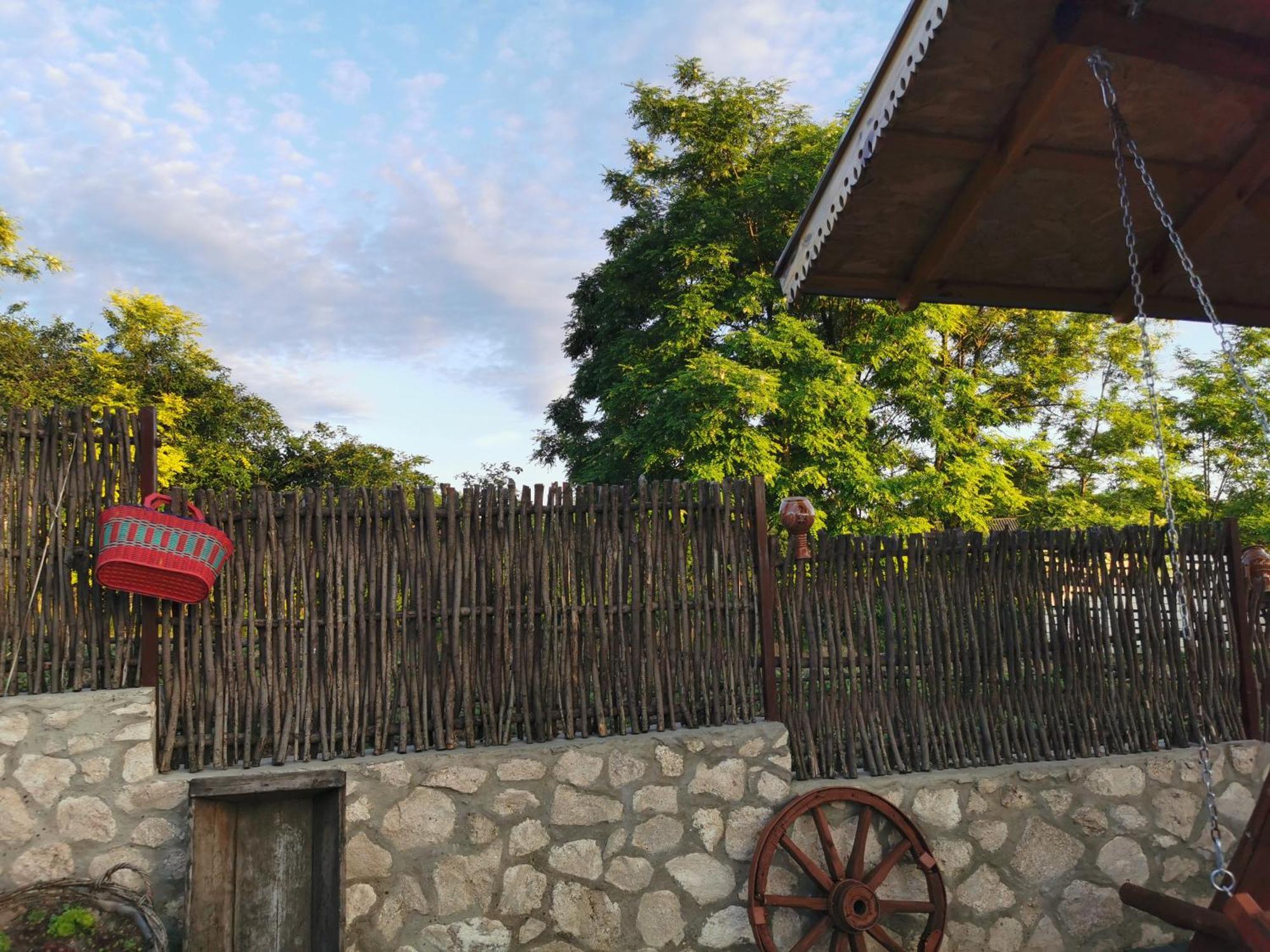 Selemet La Madalina Bed & Breakfast エクステリア 写真